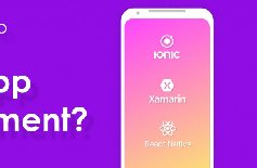 為什么要定制APP開發(fā)，APP開發(fā)定制的好處？